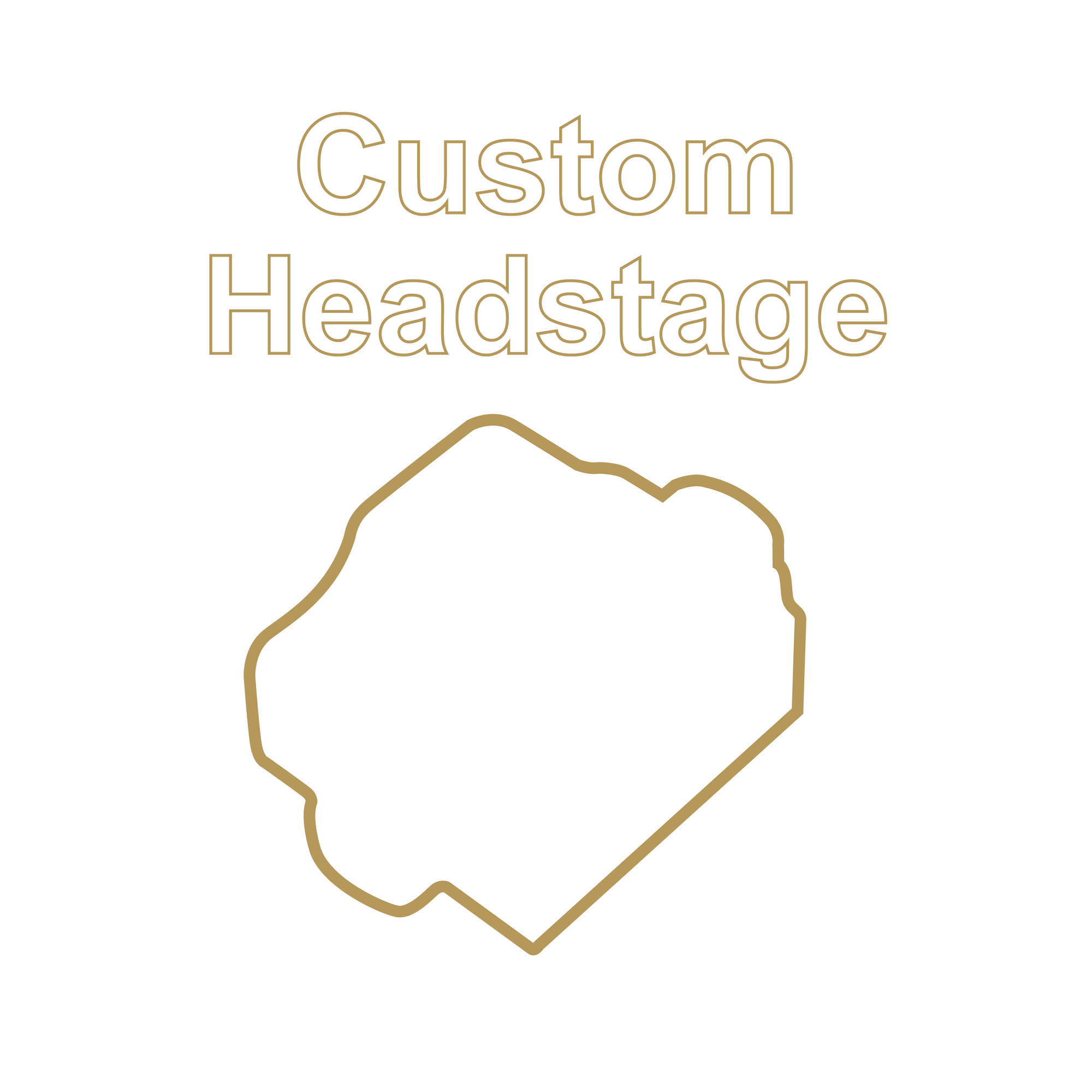 X-Headstage Custom